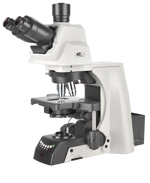 NE930科研級電動生物顯微鏡