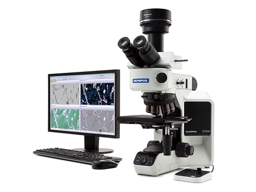 BX53M奧林巴斯金相顯微鏡